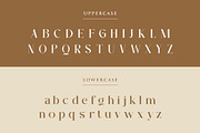 The Glamoure Serif Font, a Serif Font by Idea Studio (Thumbnail 10 of 12)