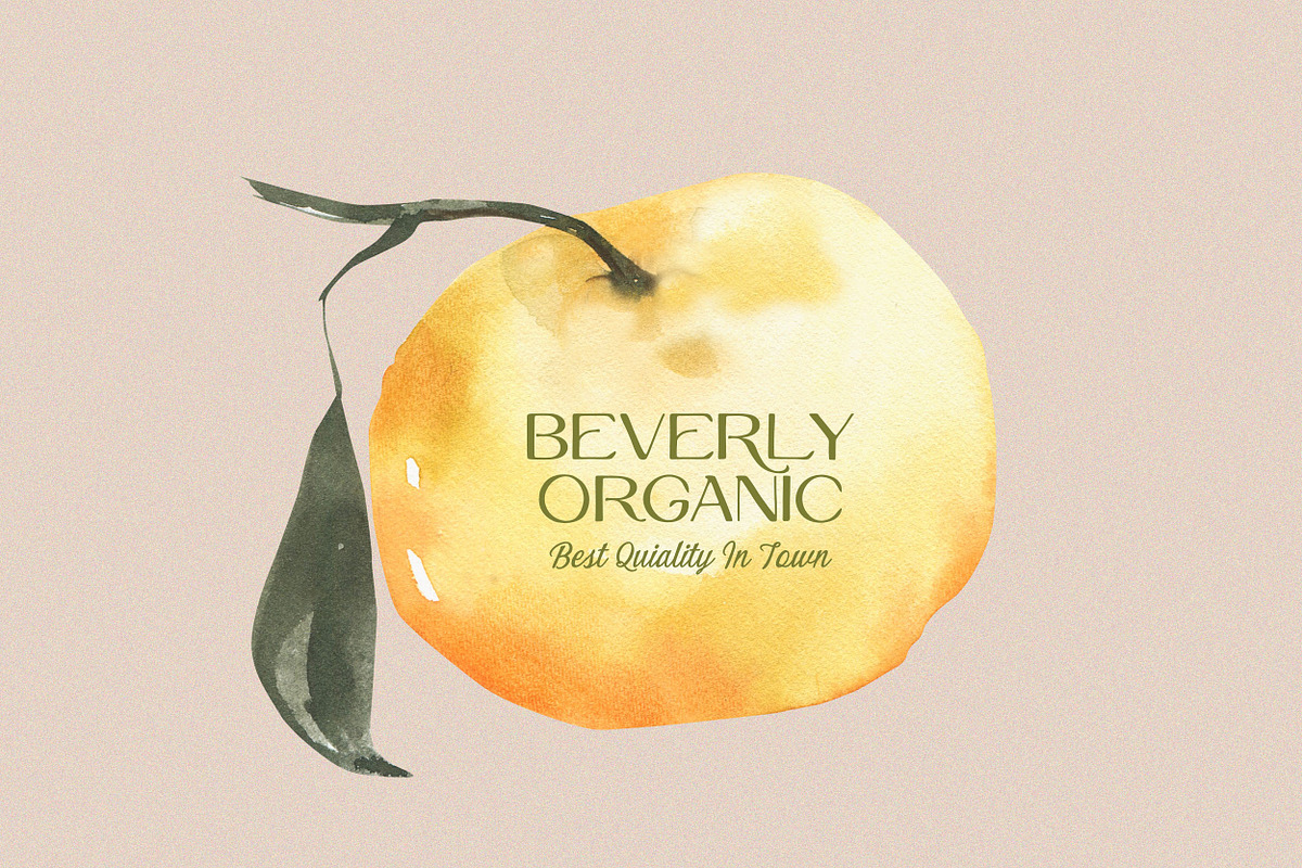 Quiet Garden Font Duo Retro Whimsy, a Script Font by Sixtype (Photo 3 of 8)