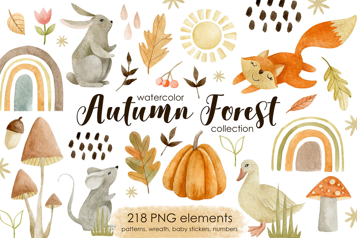 Watercolor autumn collection., a Decorative Illustration by Kira Konoshenko (Photo 1 of 26)