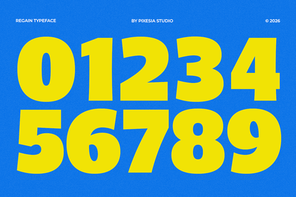 Regain - Bold Display Font, a Sans Serif Font by Pixesia Studio (Photo 13 of 16)