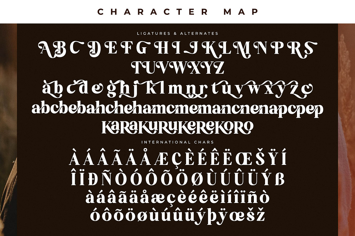 Bredga Decorative Serif Font, a Serif Font by Letterena Studios (Photo 14 of 15)