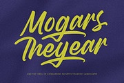 Theglory Skemaro Bold Handwritten, a Script Font by Letterena Studios Script (Thumbnail 15 of 20)