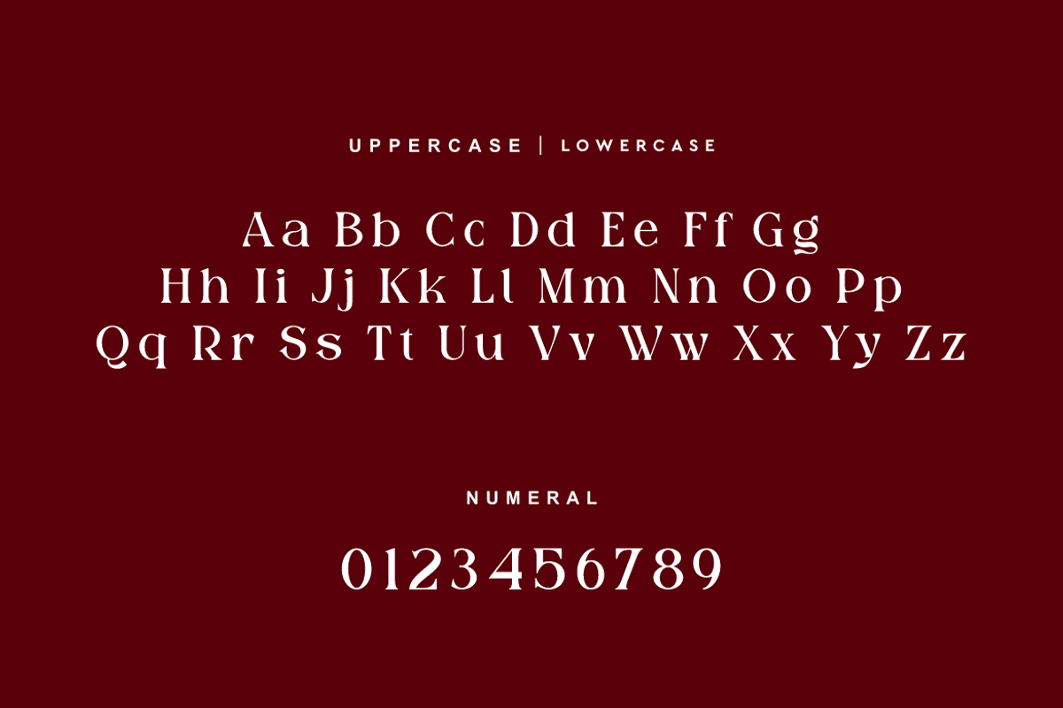 Luxoteg - Luxury Perfume Font, a Serif Font by QR Design Studio (Photo 8 of 15)