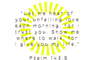 Arizona Sun a slightly wobbly Serif, a Handwritten Font by Eryn Rose Design (Thumbnail 9 of 13)