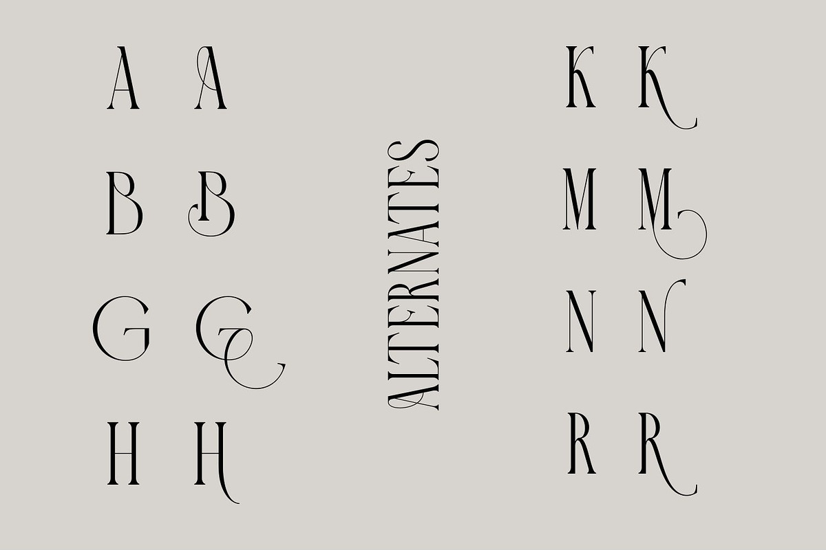 Galileo Sleek Classic serif Font, a Serif Font by WhymoreArt (Photo 10 of 11)