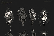 Hand Drawn Celestial Snakes & Sculls, an Animal Illustration by KirillsWorkshop (Thumbnail 2 of 10)