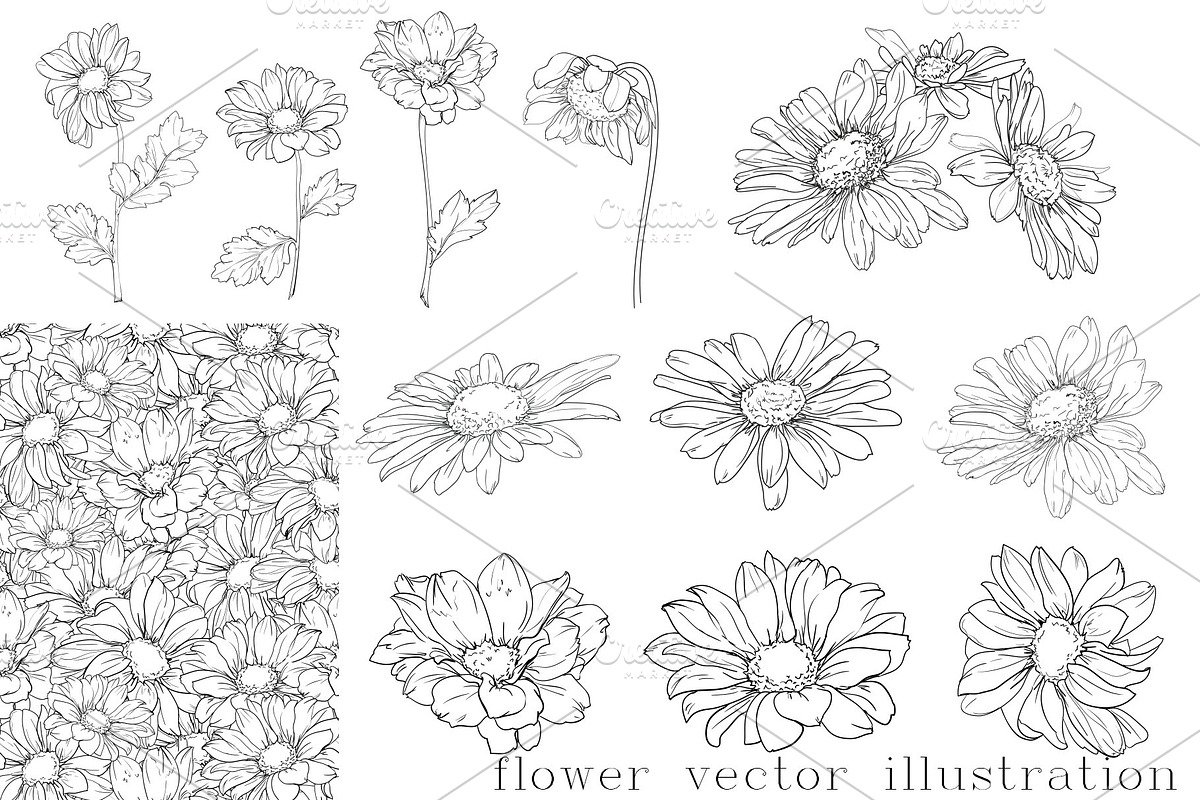 Ink Vector Chamomile, a Decorative Illustration by Sweet_print (Photo 6 of 6)