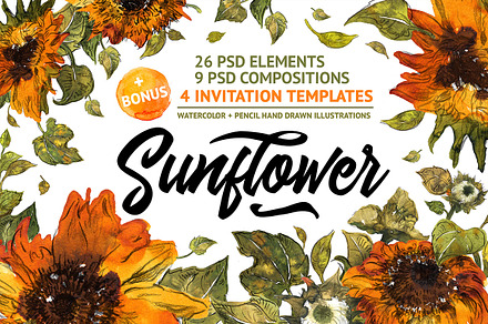 Sunflower