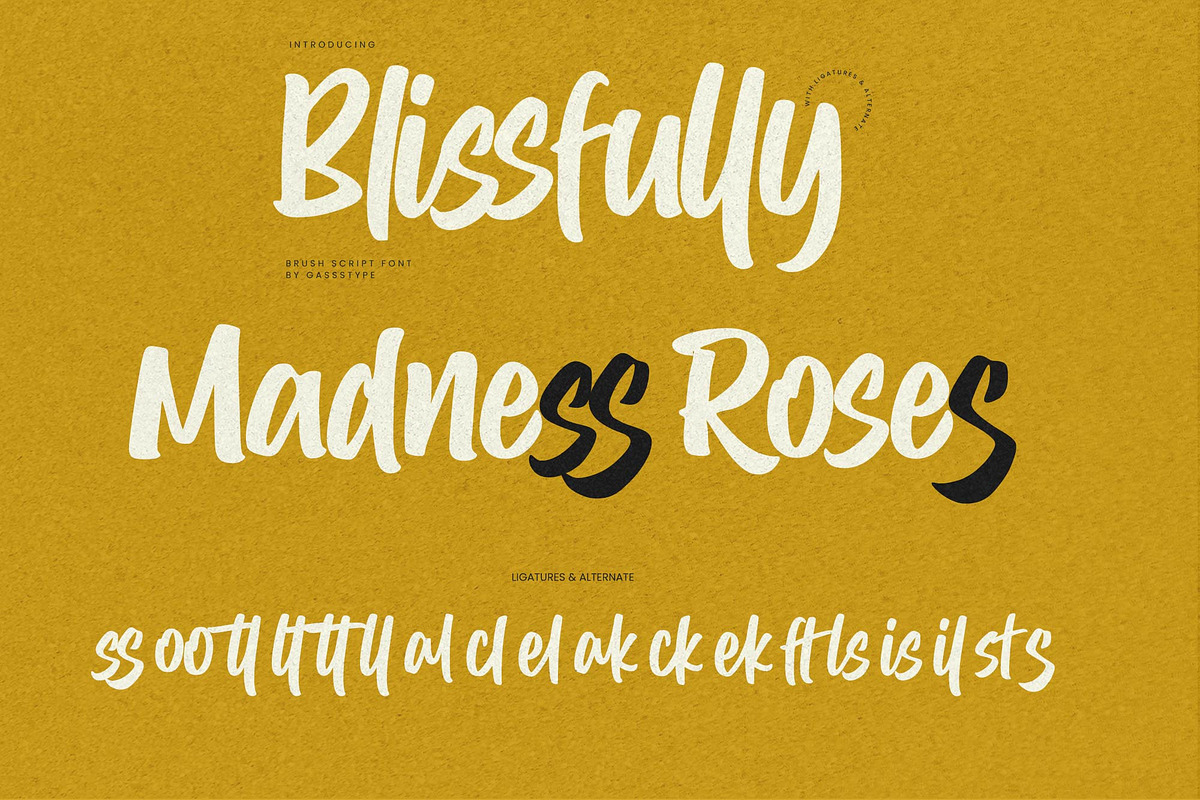 Blissfully – Brush Script Font, a Script Font by Gassstype (Photo 3 of 8)