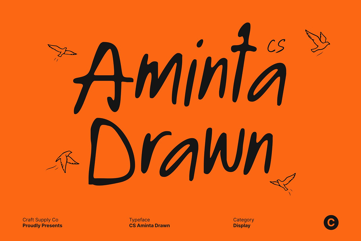 CS Aminta Drawn, a Handwritten Font by Craft Supply Co. (Photo 1 of 8)