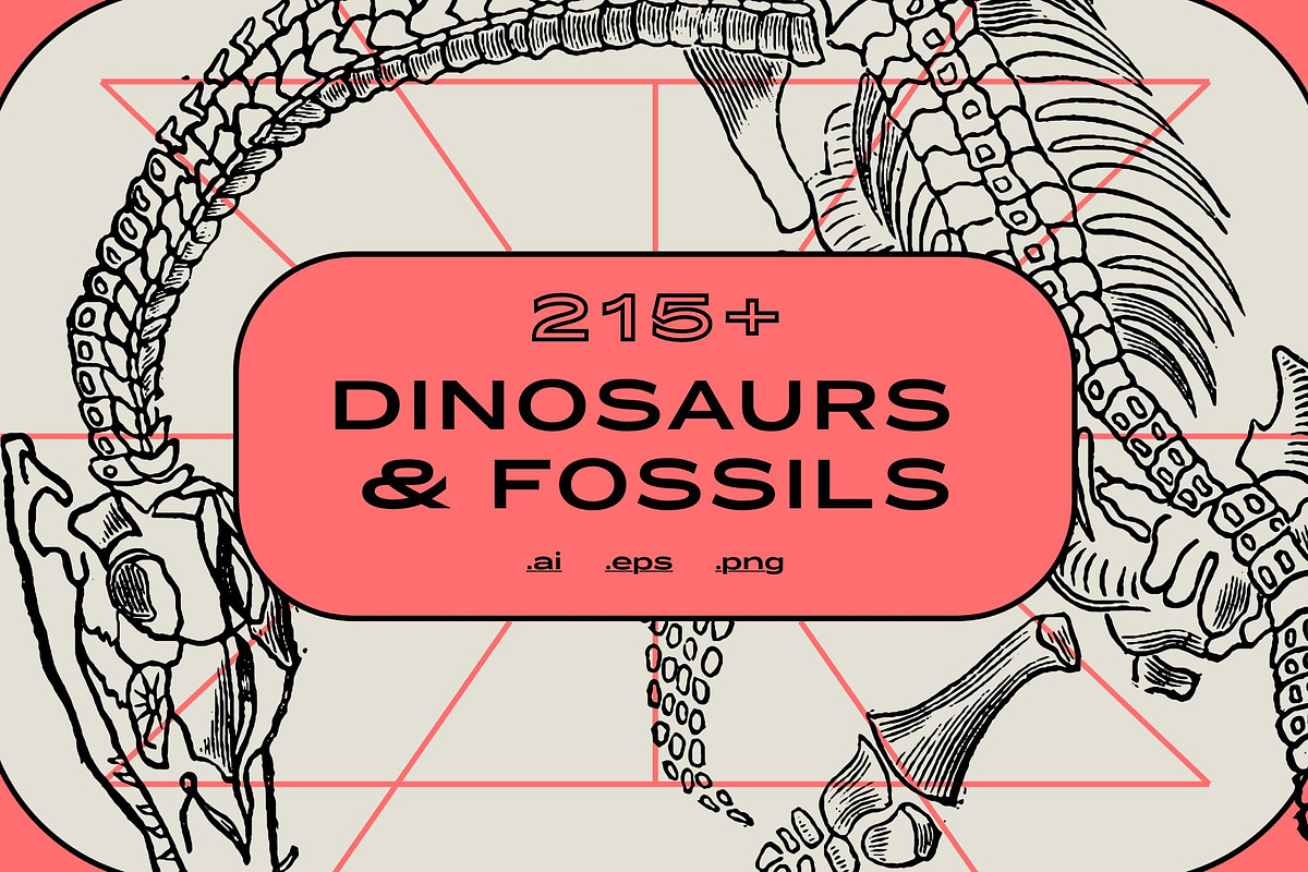Vintage Bundle - 6600+ Illustrations, an Animal Illustration by Nomad Visuals (Photo 16 of 45)