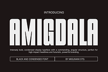 Amigdala Tall Display Font