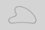 Gua sha 3d model, an Object 3D Model by fahad121 (Thumbnail 4 of 5)