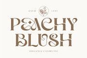 Mosca Laroke - Stylish Serif Font, a Serif Font by Keithzo (Thumbnail 3 of 9)