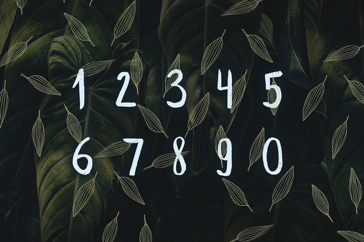 Leafy Brush Font preview 5