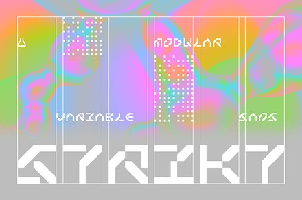Strikt Variable | 24 fonts, a Sans Serif Font by NAUM