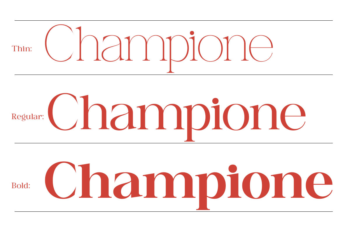 Canella, a Serif Font by Nurul_kamal (Photo 2 of 13)