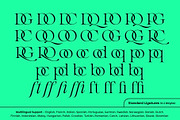 The Regals Serif Font, a Serif Font by Sam Parrett (Thumbnail 14 of 14)