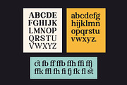 Braveold Font Family, a Serif Font by trustha (Thumbnail 11 of 11)