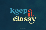 Stiko Vintage Font, a Serif Font by vuuuds (Thumbnail 2 of 13)