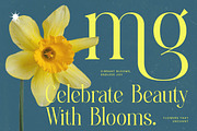 Heroic Brutal Bold Tall Serif, a Serif Font by timelesstype.co (Thumbnail 4 of 20)