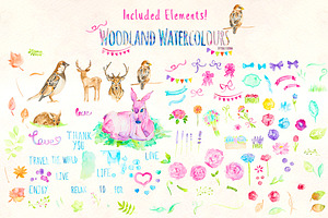 Watercolor Animal and Flowers Bundle