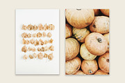 Fall Collection 1, a Beauty & Fashion Photo by Floral Deco (Thumbnail 3 of 8)