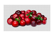 Cranberries, a Mockup by Hortimages (Thumbnail 3 of 3)