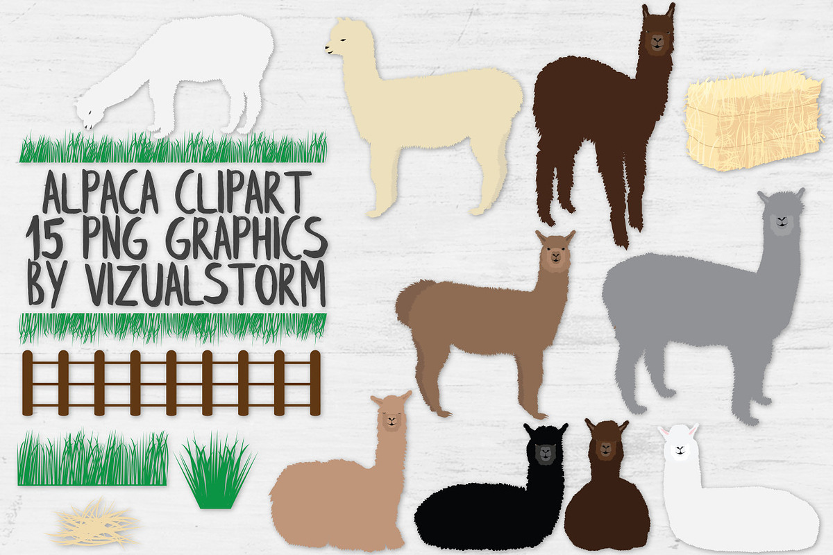 Alpaca Clipart and Accessories, an Animal Illustration by VizualStorm (Photo 1 of 3)