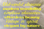 Royal Brune – Classic Font Duo, a Serif Font by Portocraft (Thumbnail 21 of 23)