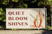 Marques Rounded Drawn, a Serif Font by Craft Supply Co. (Thumbnail 7 of 8)