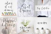 Leaf and Twig, a Script Font by Creamy Script (Thumbnail 3 of 6)