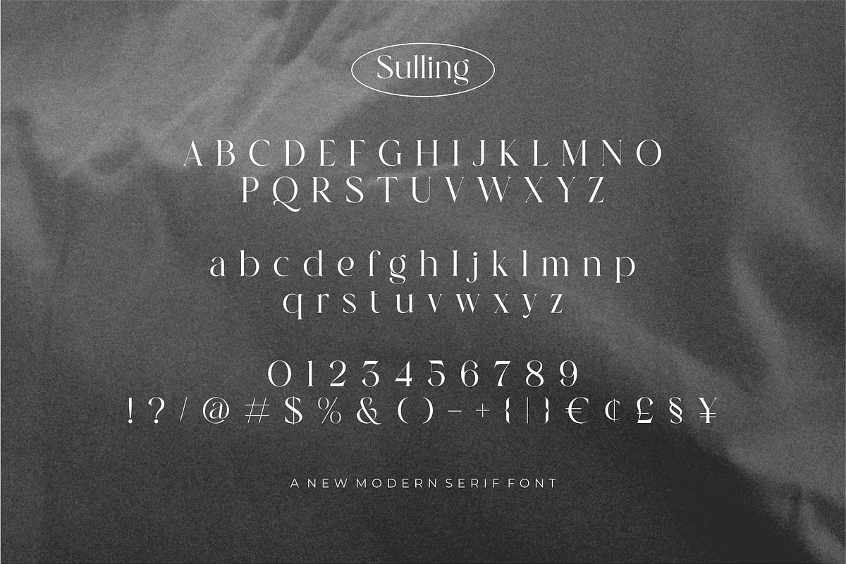 Sulling Modern Serif Font, a Serif Font by Dylla_studio (Photo 7 of 7)