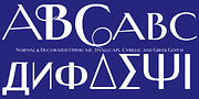 New Yorker Type Classic, a Serif Font by Wiescher-Design (Thumbnail 6 of 8)