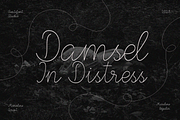 CF Mariline - Monoline Script, a Script Font by Indotype Foundry (Thumbnail 9 of 10)