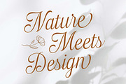 Haydenta - Calligraphic Script, a Script Font by Novitype (Thumbnail 2 of 12)