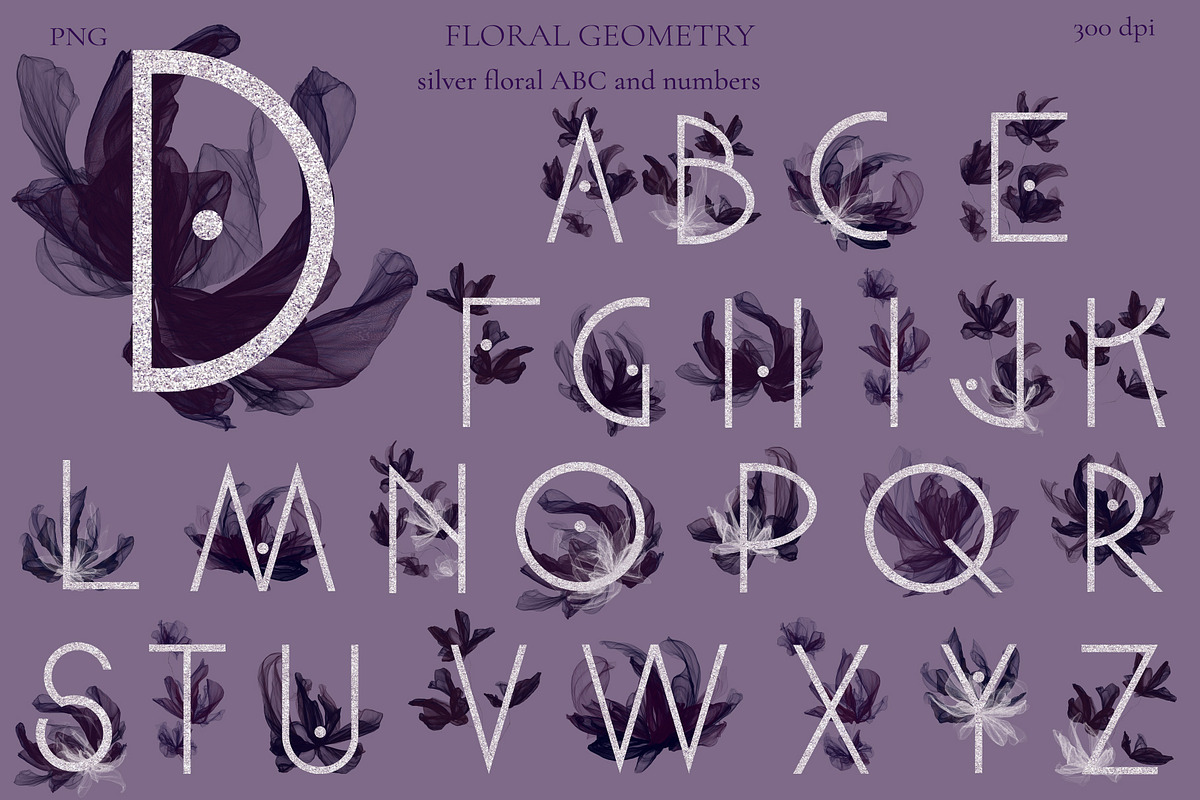 Floral Geometry, an Illustration by Salted Galaxy (Photo 3 of 18)
