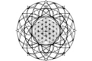 Intricate Black Mandala Circle, a Decorative Illustration by Designer_Momina (Thumbnail 17 of 20)