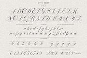 The Prestige — Luxury Script Font, a Handwritten Font by AndrewPixelType (Thumbnail 16 of 17)