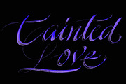 CalligraphyMasters Procreate Brushes, a Brush Add-On by the Fontmaker (Thumbnail 7 of 38)
