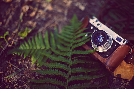 Vintage analog retro film camera in containing camera, retro, and vintage