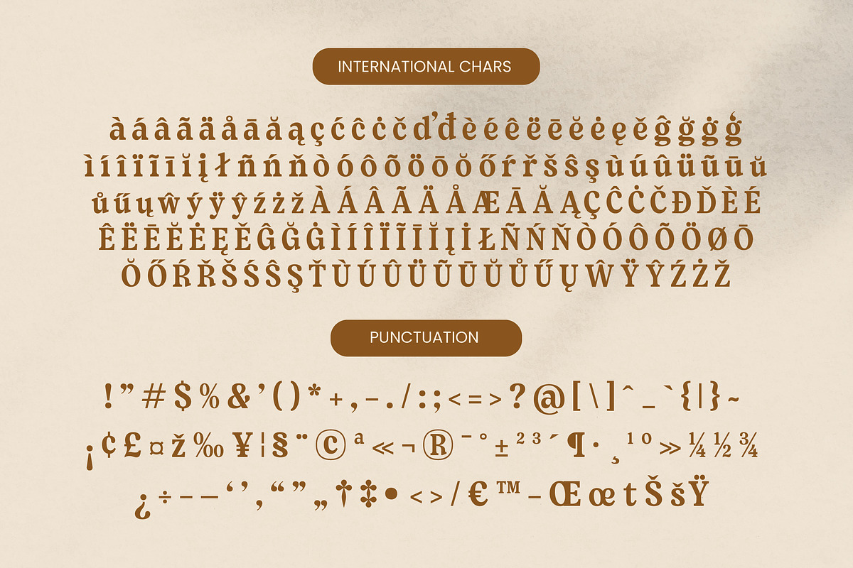 Sayin Cherik Vintage Serif Font, a Serif Font by timelesstype.co (Photo 13 of 15)