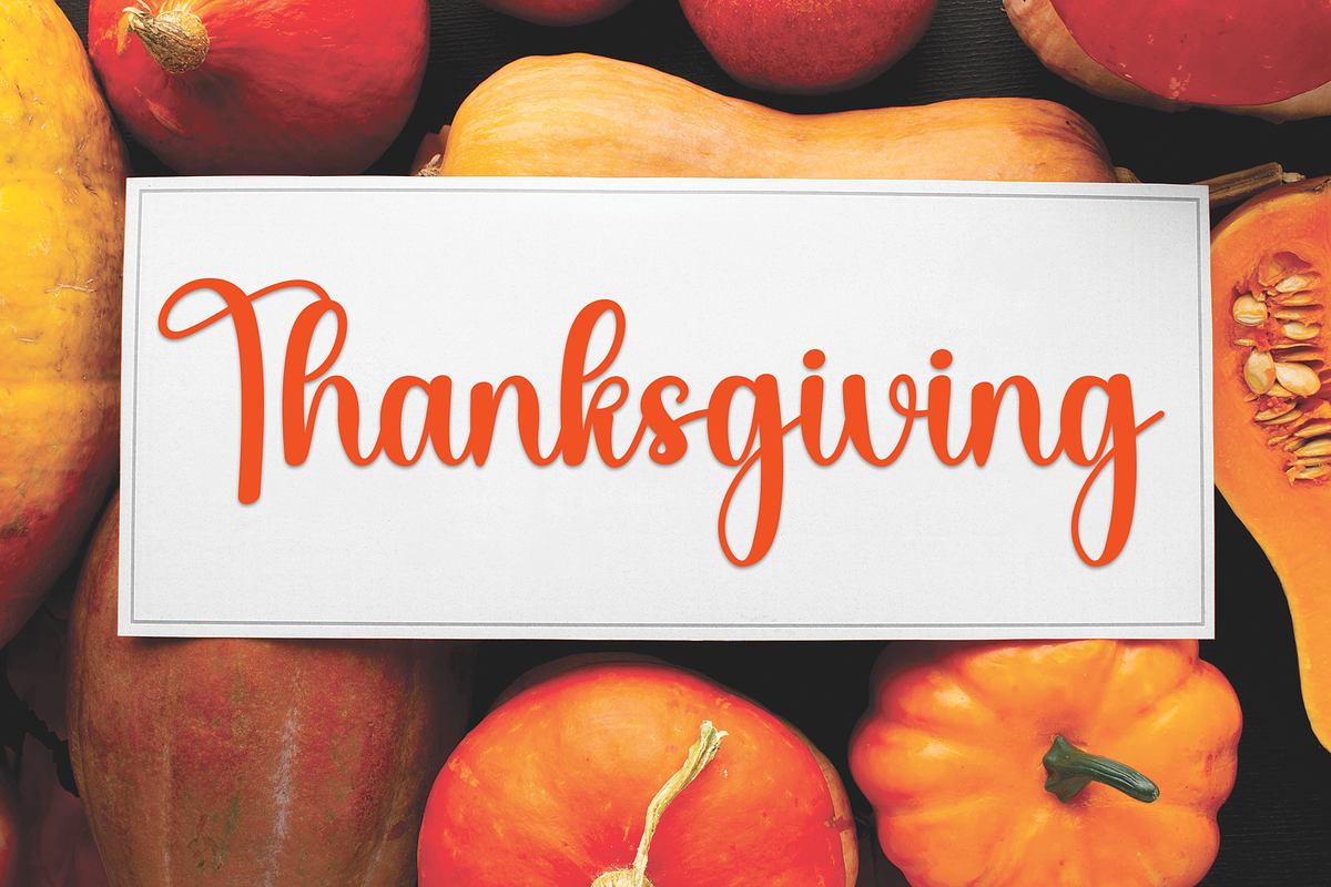 Magnolia | Script Font, a Handwritten Font by Scratchones (Photo 4 of 9)