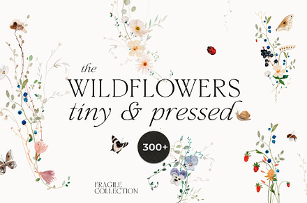WILDFLOWERS tiny watercolor floral