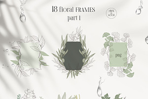 PLANTS & HERBS Illustrations Set