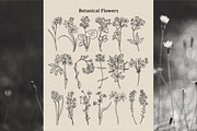 Floral Line Art Collection, a Decorative Illustration by heyXeni (Thumbnail 10 of 12)