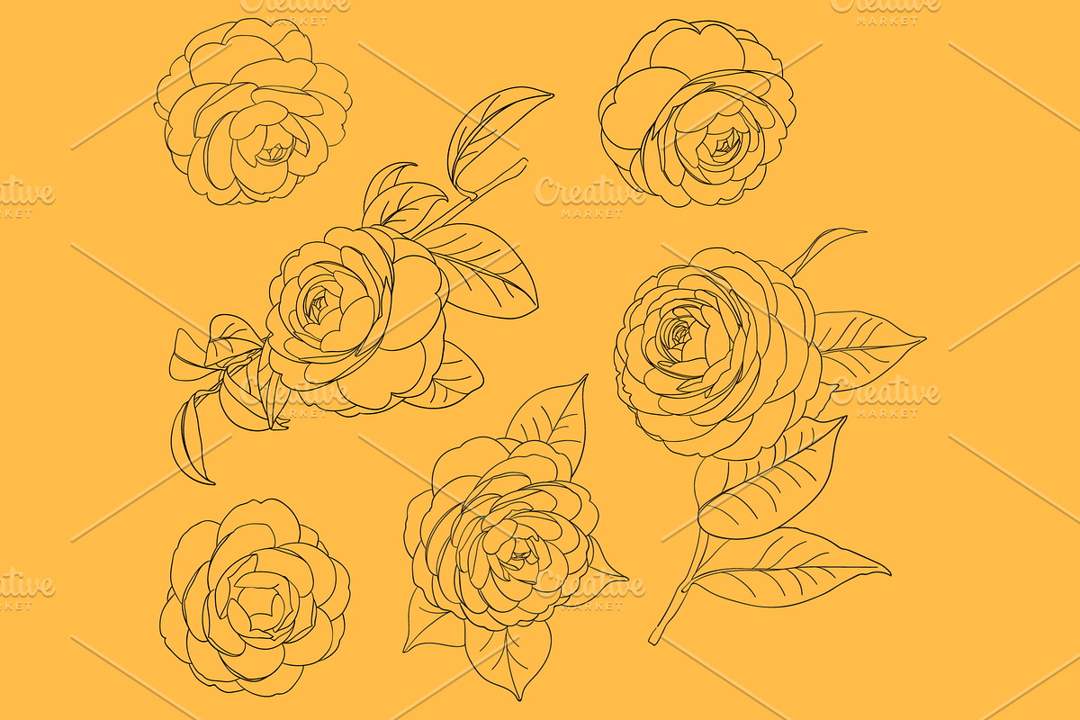 Camellia japonica, an Object Graphic by VictoriaKStudio (Photo 6 of 6)