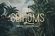 Ceihoms Vintage Lettering, a Font by Imoodev (Thumbnail 1 of 5)