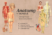 Anatomy Collage Elements 200+, an Illustration by Francesco Stefanini (Thumbnail 1 of 10)