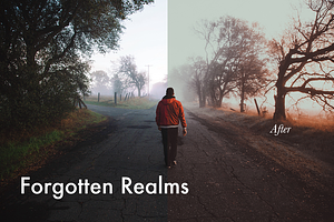 Forgotten Realms-4 Lightroom Presets